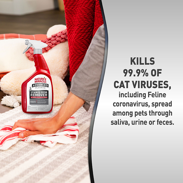 Nature's miracle 2025 advanced cat